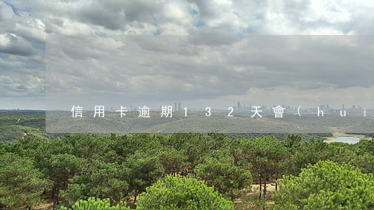 信用卡逾期132天會(huì)成黑戶嗎