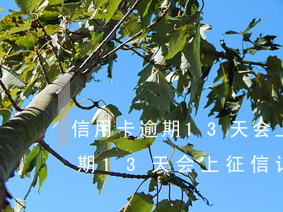 信用卡逾期13天会上征信记录-信用卡逾期13天会上征信记录嘛
