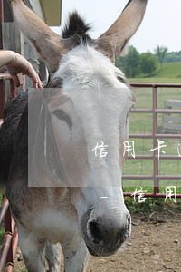 信用卡逾期13天會(huì)上征信記錄-信用卡逾期13天會(huì)上征信記錄嘛
