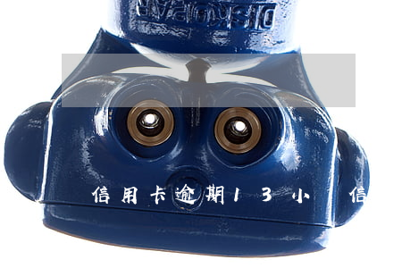 信用卡逾期13小時（信用卡逾期13小時）