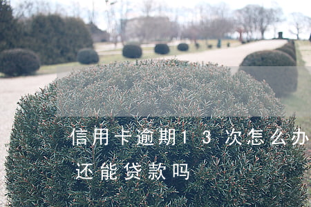 信用卡逾期13次怎么办(信用卡逾期12次还能贷款吗)