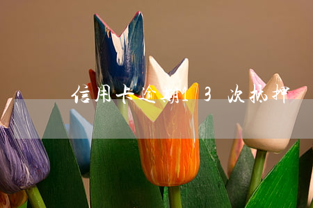 信用卡逾期13次抵押貸款