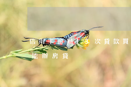 信用卡逾期13次貸款買房(7次信用卡逾期能辦房貸)