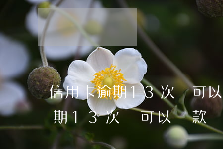 信用卡逾期13次還可以貸款嗎-信用卡逾期13次還可以貸款嗎知乎