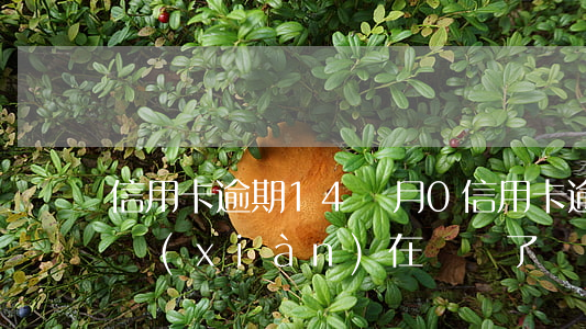 信用卡逾期14個月0(信用卡逾期14個月現(xiàn)在錢還了)