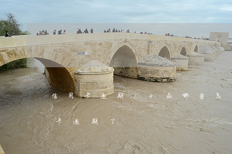 信用卡逾期14在哪查(怎么查自己哪張信用卡逾期了)