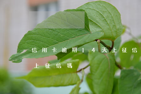 信用卡逾期14天上征信(信用卡逾期十幾天上征信嗎)