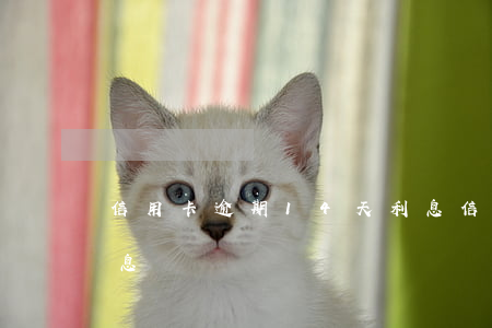 信用卡逾期14天利息(信用卡逾期14天利息)