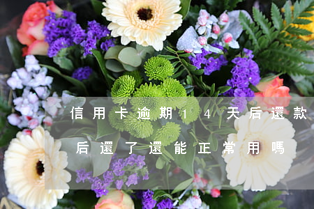 信用卡逾期14天后還款(信用卡逾期15天后還了還能正常用嗎)