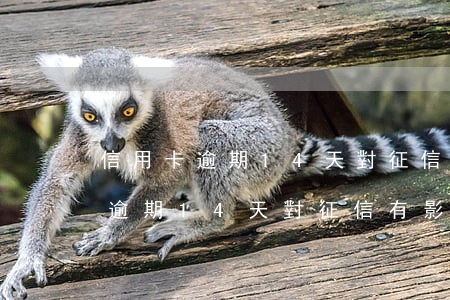 信用卡逾期14天對征信有影響嗎-信用卡逾期14天對征信有影響嗎知乎