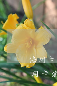 信用卡逾期14天會(huì)上征信嗎(信用卡逾期14天會(huì)上征信嗎)