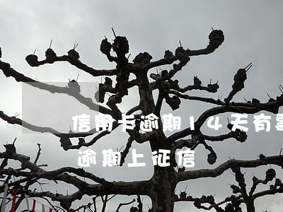 信用卡逾期14天有事嗎(7到14天信用卡逾期上征信嗎)