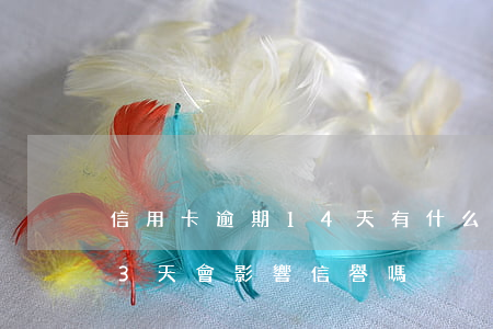 信用卡逾期14天有什么后果(信用卡逾期13天會影響信譽嗎)