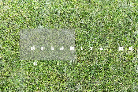 信用卡逾期14天補救(信用卡逾期14天補救)