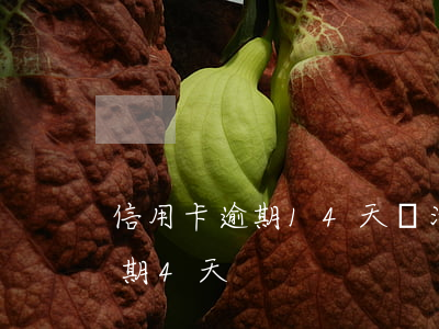 信用卡逾期14天還清還能用嗎-信用卡逾期4天