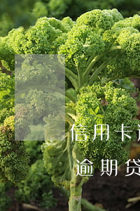 信用卡逾期14次贷款利率上浮-征信两次逾期贷款利率上浮多少?