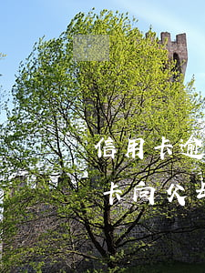 信用卡逾期14萬怎么跟父母坦白-欠信用卡向父母坦白