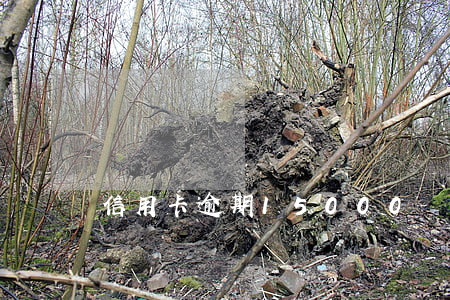信用卡逾期15000兩個月