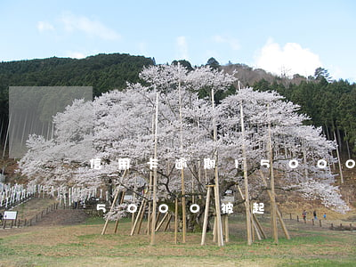 信用卡逾期15000被起訴(信用卡逾期15000被起訴)