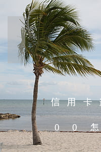 信用卡逾期1500怎么辦(信用卡逾期1500怎么辦了)