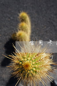 信用卡逾期1500會(huì)上門(mén)嗎 信用卡1500逾期3個(gè)月