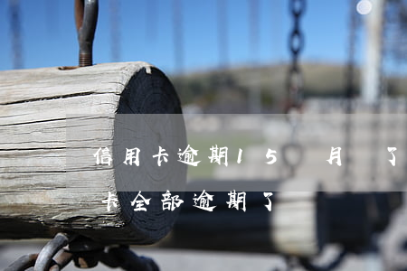 信用卡逾期15個月還了怎么辦 十幾個信用卡全部逾期了