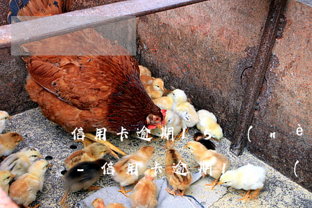 信用卡逾期15內(nèi)征信能查到嗎-信用卡逾期15內(nèi)征信能查到嗎