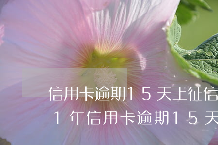 信用卡逾期15天上征信怎么辦理-2021年信用卡逾期15天