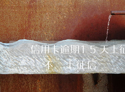 信用卡逾期15天上征信怎么辦(逾期15天會不會上征信)