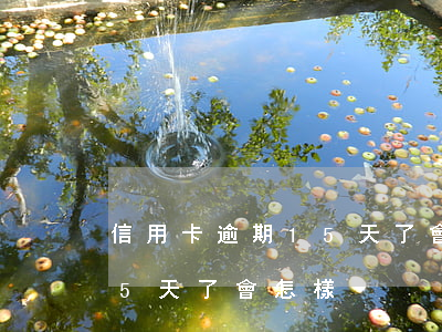 信用卡逾期15天了會怎樣呢（信用卡逾期15天了會怎樣）