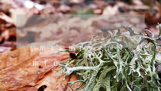 信用卡逾期15天可以還最低(信用卡5萬逾期10天)
