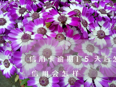 信用卡逾期15天后怎么办(银行逾期15天信用会怎样)