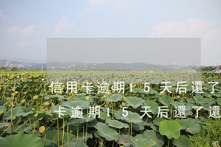 信用卡逾期15天后還了還能正常用-信用卡逾期15天后還了還能正常用嗎