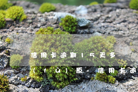 信用卡逾期15天多長時(shí)間能復(fù)原-信用卡逾期15天多長時(shí)間能復(fù)原征信