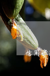 信用卡逾期15天影響農(nóng)貸