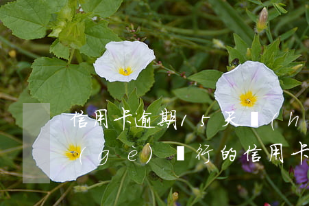 信用卡逾期15天會(huì)上門嗎(哪個(gè)銀行的信用卡逾期會(huì)上門)