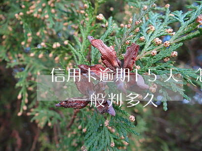 信用卡逾期15天會怎么樣(信用卡逾期15萬一般判多久)