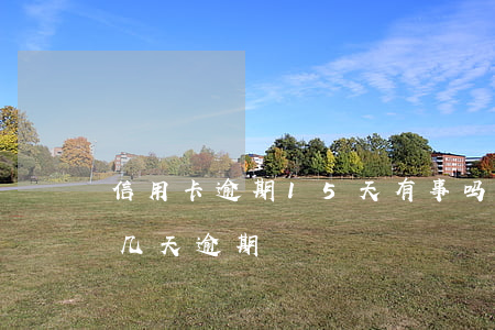 信用卡逾期15天有事吗信用-信用卡10几天逾期