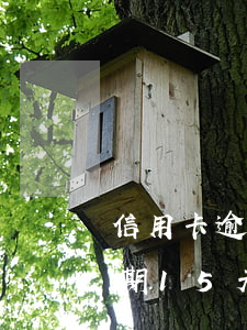 信用卡逾期15天滯納金多少錢-信用卡逾期15天滯納金多少錢啊