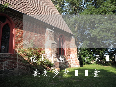 信用卡逾期15天滯納金多少錢(逾期一天需要交多少滯納金)