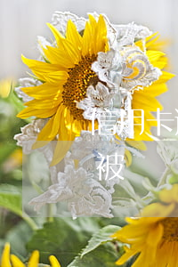 信用卡逾期15天解凍快嗎-因逾期信用卡被凍結(jié)了還能解凍嗎
