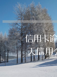 信用卡逾期15天还上征信吗(银行逾期15天信用会怎样)