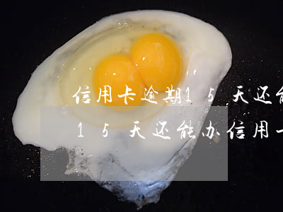信用卡逾期15天还能办信用卡(信用卡逾期15天还能办信用卡嘛)