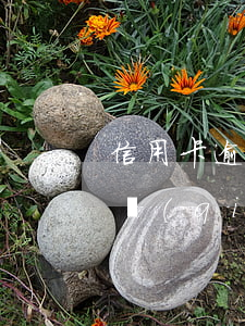 信用卡逾期15天還可以用嗎 信用卡15塊錢(qián)逾期七天,有影響嗎