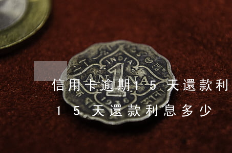 信用卡逾期15天還款利息多少(信用卡逾期15天還款利息多少)