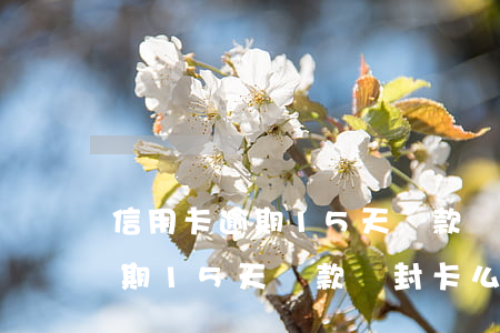 信用卡逾期15天還款會封卡么-信用卡逾期15天還款會封卡么嗎