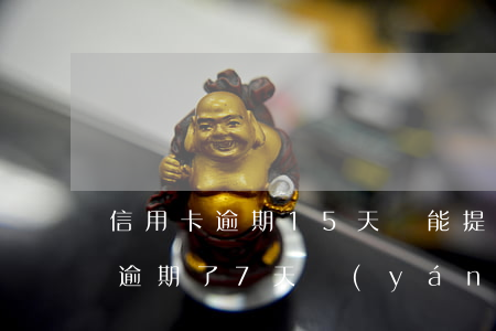 信用卡逾期15天還能提額嗎(信用卡12元逾期了7天嚴(yán)重嗎)