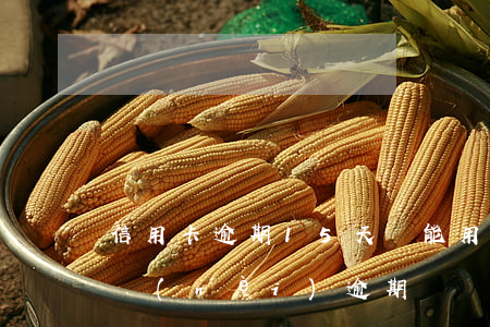 信用卡逾期15天還能用麼(信用卡30天以內(nèi)逾期)