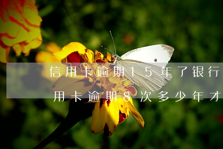 信用卡逾期15年了银行还会要吗(15年信用卡逾期8次 多少年才能消)