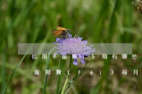 信用卡逾期15期有哪些后果(15萬信用卡逾期費(fèi)每月是多少)